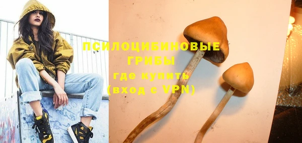 тгк Володарск