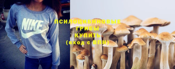 спиды Верея