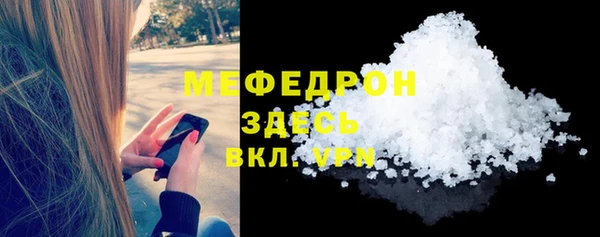 индика Волоколамск