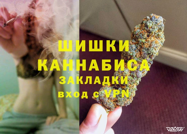 спиды Верея