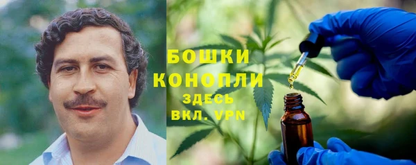 спиды Верея