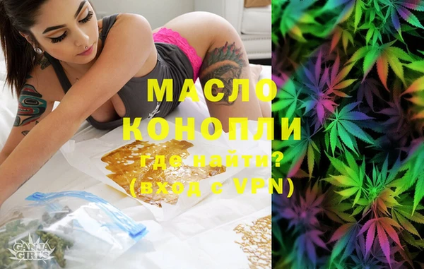 индика Волоколамск