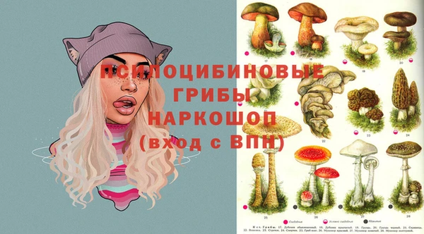 бошки Верхнеуральск