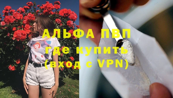 гашик Волосово