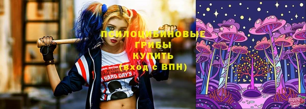 спиды Верея