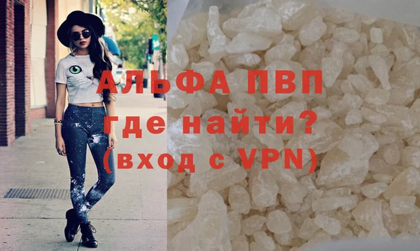спиды Верея