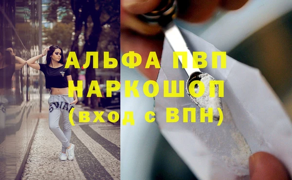 гашик Волосово