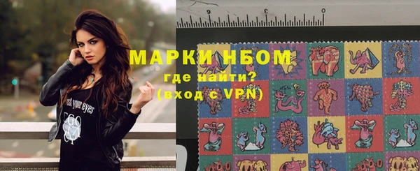 индика Волоколамск