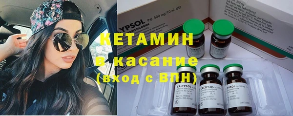 индика Волоколамск