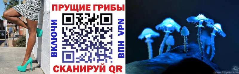 Псилоцибиновые грибы Magic Shrooms  купить наркоту  Камешково 
